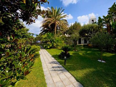 Giardino lussureggiante con palme, vialetto e cielo azzurro.