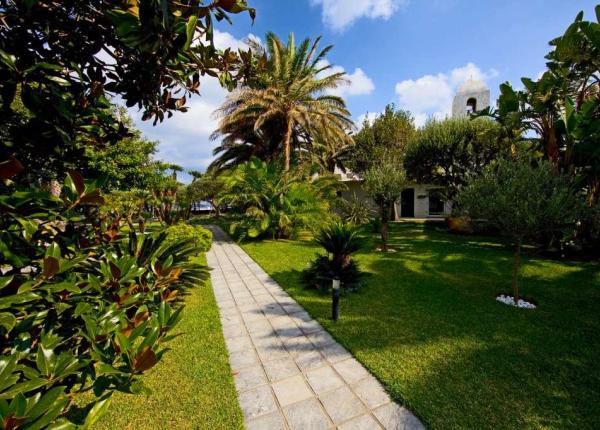 Giardino lussureggiante con palme, vialetto e cielo azzurro.